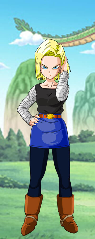 About Android 18 Figures image
