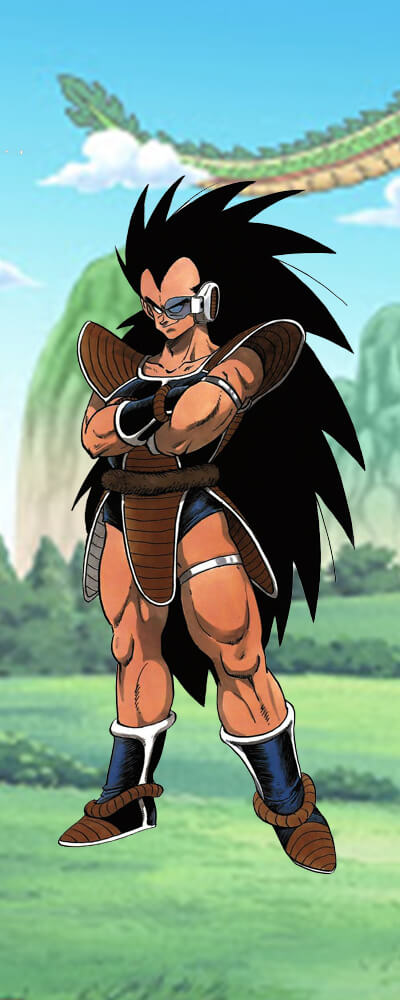 Main Points of Raditz Figures image