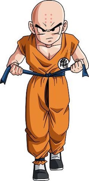 Krillin image