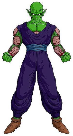 Piccolo image