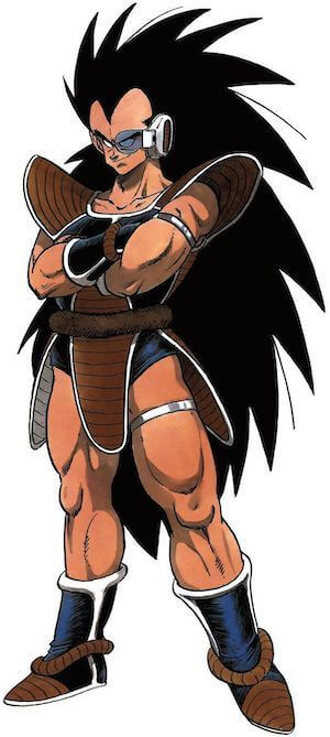 Raditz image